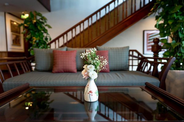 Enhancing Competitive Rowing Performance: The Role of Augmented Feedback Devices in Boosting Stroke Efficiency