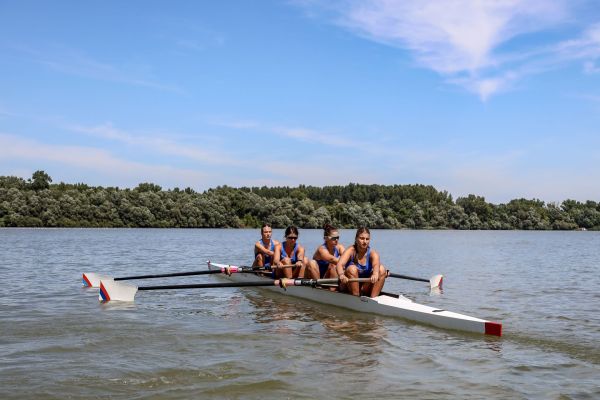 Enhancing Competitive Rowing Performance: The Role of Augmented Feedback Devices in Boosting Stroke Efficiency