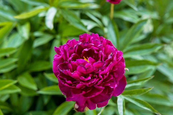 Creating Eco-Friendly Packaging Strategies for Cosmetics Brands in the UK