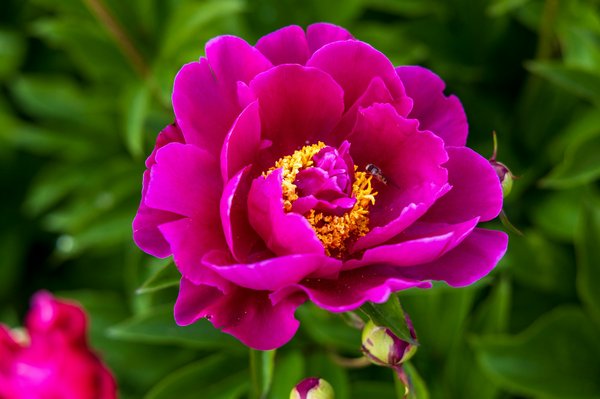 Transforming Urban Real Estate: Innovative Ways to Integrate Eco-Friendly Water Features